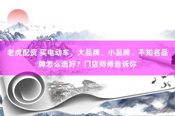 老虎配资 买电动车，大品牌、小品牌、不知名品牌怎么选好？门店师傅告诉你