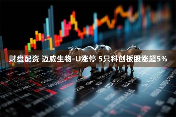 财盘配资 迈威生物-U涨停 5只科创板股涨超5%
