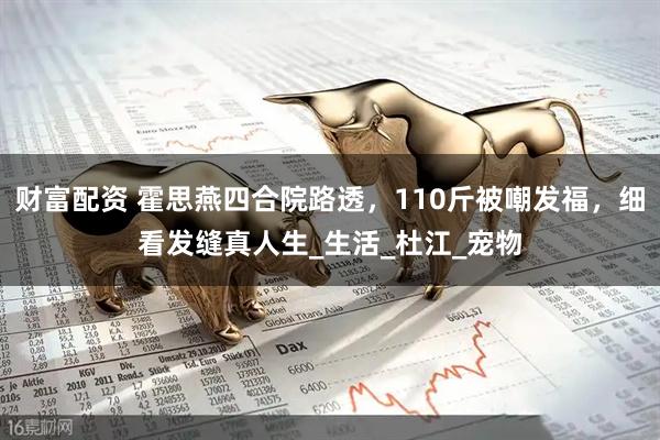 财富配资 霍思燕四合院路透，110斤被嘲发福，细看发缝真人生_生活_杜江_宠物