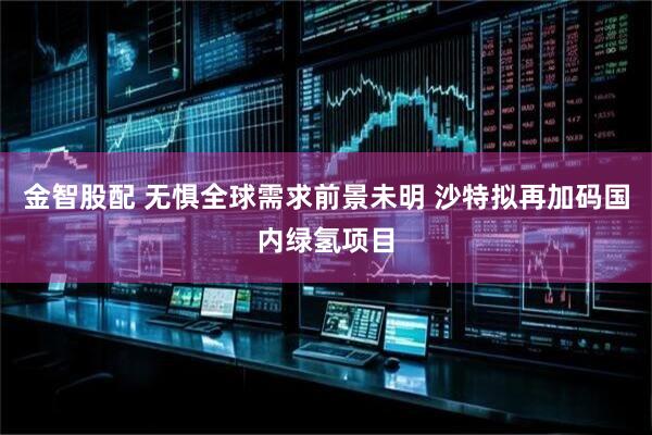 金智股配 无惧全球需求前景未明 沙特拟再加码国内绿氢项目