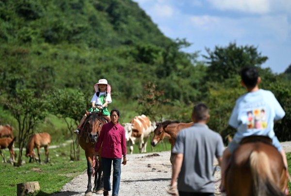 诚金资产 图片新闻｜高山旅游持续火热