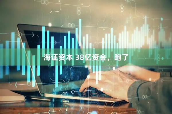 海证资本 38亿资金，跑了